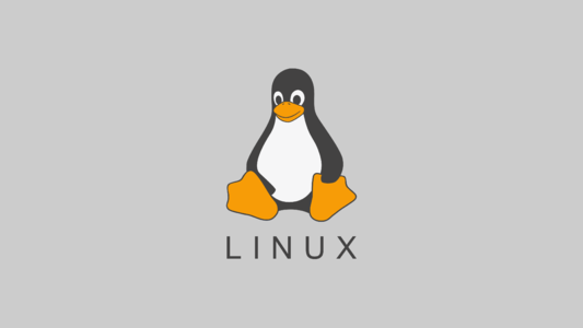 Linux学习笔记